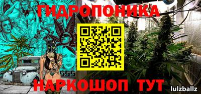 PSILOCYBIN Волгодонск
