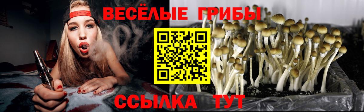 Галлюциногенные грибы прущие грибы Павлово